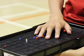 Сетка для игры тактильная (Бочча) - fgospostavki.ru - Ярославль