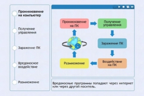 Интерактивные курсы. Информатика 10 класс . Базовый. - fgospostavki.ru - Ярославль