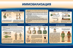 Стенд "Иммобилизация" - fgospostavki.ru - Ярославль
