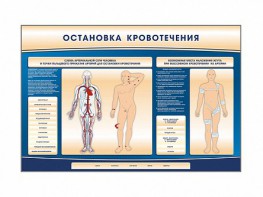 Электрифицированный стенд-тренажер "Остановка кровотечения" - fgospostavki.ru - Ярославль