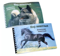 Пособие для слабовидящих - Домашние животные - fgospostavki.ru - Ярославль