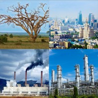 Модель-аппликация Биосфера и человек - fgospostavki.ru - Ярославль