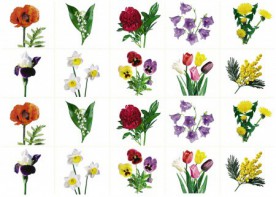 Комплект карточек "Запоминай, играй, считай" - Цветы - fgospostavki.ru - Ярославль