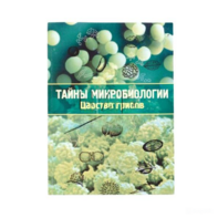Набор «Тайны микробиологии» (Царство грибов) - fgospostavki.ru - Ярославль
