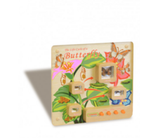 Панель «Жизненный цикл бабочки» - fgospostavki.ru - Ярославль