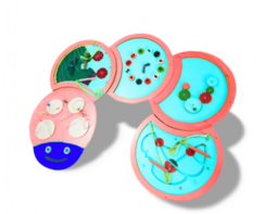 Тактильно-развивающая панель «Гусеница» - fgospostavki.ru - Ярославль