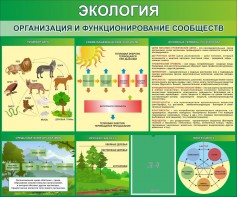 Стенд "Экология. Организация и функционирование сообществ" - fgospostavki.ru - Ярославль
