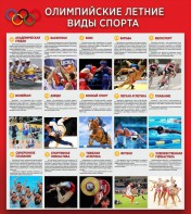 Стенд "Олимпийские летние виды спорта" - fgospostavki.ru - Ярославль