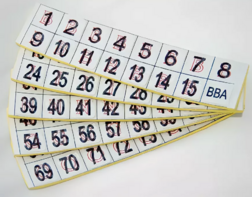 Фишки для игры «Бинго» со шрифтом Брайля - fgospostavki.ru - Ярославль