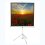Экран на штативе DSKD-1105  - fgospostavki.ru - Ярославль