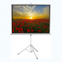 Экран на штативе DSKD-4303 - fgospostavki.ru - Ярославль