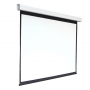 Экран настенный с электроприводом DSEF-16909 - fgospostavki.ru - Ярославль